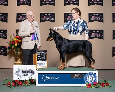 NOHS Regional Group Placing BPIS CH EV Violente au Coeur de la Fleur de Renard ATT CGCA CGCU FDC TKA VHMA